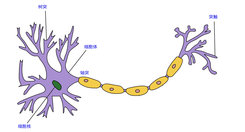 image-20240324190318548